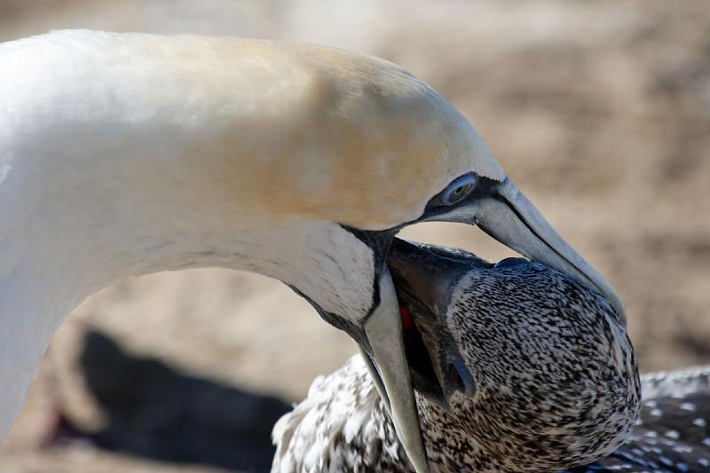 2007 04 14 090_DXO.jpg